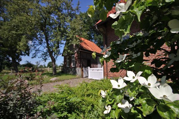 ホテルLandgasthof Zur Heideschenke Wolthausen エクステリア 写真